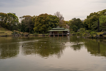 Fototapeta na wymiar KIYOSUMI TEIEN garden in TOKYO,JAPAN. Spring