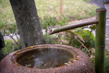 KIYOSUMI TEIEN garden in TOKYO,JAPAN. Spring