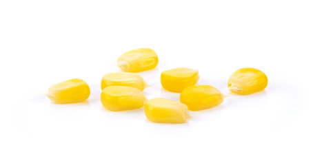 Corn seeds isolated on the white background