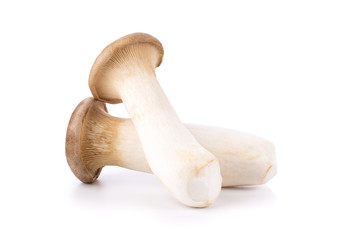 King oyster mushroom Pleurotus eryngii isolated on white background. full depth of field