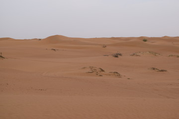 Fototapeta na wymiar Wüste 2