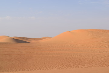 Fototapeta na wymiar Wüste 7