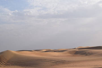 Fototapeta na wymiar Wüste 11