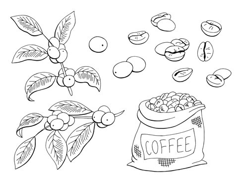 Coffee set graphic black white isolated sketch illustration vector