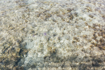 Background shot of aqua sea water surface