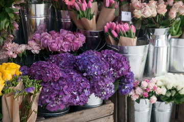 Pots with beautiful blooming pink and purple hydrangea flowers for sale outside flower shop. Garden store entrance decorated with rustic style wooden box and wicker flower pot.