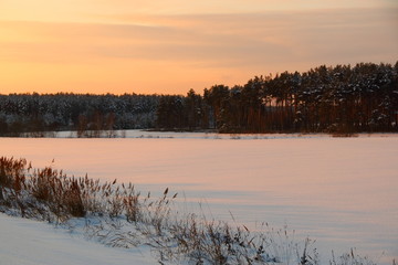 winter dawn landscape
