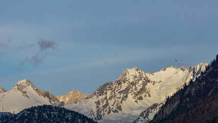 Fototapeta na wymiar Snow in the Alps