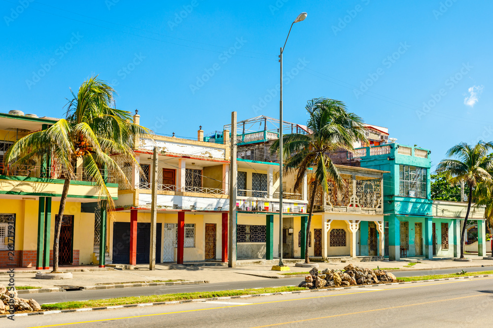 Wall mural old spanish colonial houses with palms along the street in the c