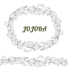 Card, template with hand drawn leaves, branch and flowers jojoba. 