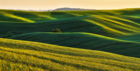 hilly field. picturesque hills of a spring field. spring hills © sergnester