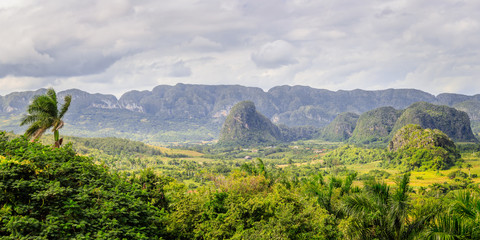 Fototapeta na wymiar Green caribbean valley with small cuban houses and mogotes hills landscape panorama, Vinales, Pinar Del Rio, Cuba