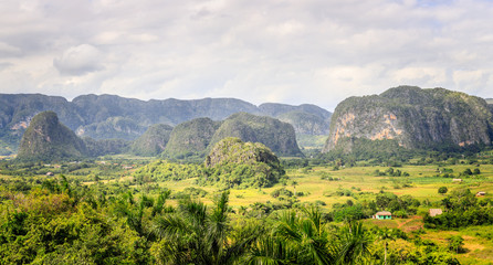 Green caribbean valley with small cuban houses and mogotes hills landscape panorama, Vinales, Pinar Del Rio, Cuba © vadim.nefedov