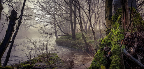 Christmas Mist and Magic in calderdale 