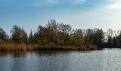 Obraz na płótnie Canvas Ponds in Wola Rusiecka near Krakow