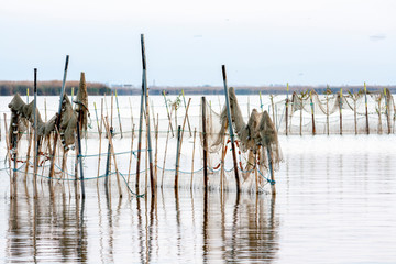 fence on the lake of Valencia