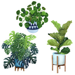 Indoor plants in a pot set . Watercolor plants set. Home plants potted.