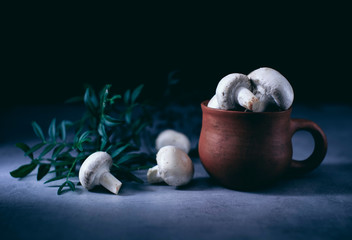 Obraz premium champignon mushrooms in an old clay pot on a table in a dark