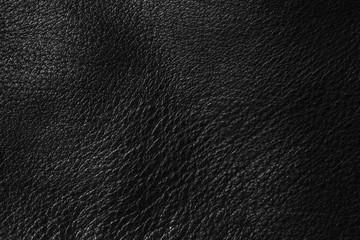 texture of leather