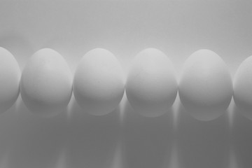 eggs on white background