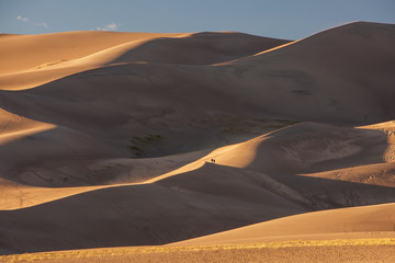 Fototapeta na wymiar Beautiful sand dunes in the desert