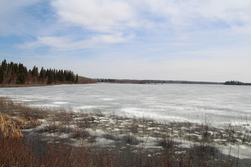 Frozen Lake, Elk Island National Park, Alberta
