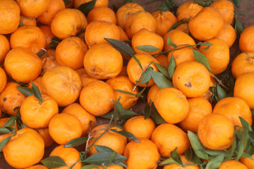 Big pile of ripe tangerines with leaves