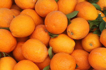 Big pile of ripe oranges with leaves