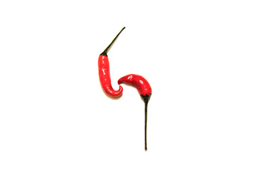 Red how chili pepper on white isolated background