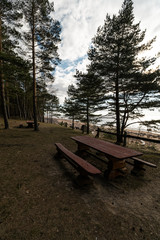 Beautiful distant picnic and camping spot near a Baltic sea in a pine forest with a boulder beach in the background - Veczemju Klintis, Latvia, April, 2019