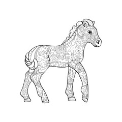 foal zentangle on white background