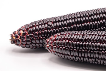 Close up Siam ruby queen corn isolated on white background. It can be eaten  fresh, steamed, grilled and microwaved. Sweet red corn of Thailand. 