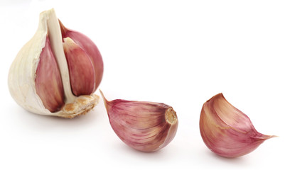 Garlic over white background