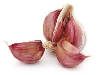 Garlic over white background
