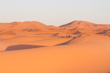 Fototapeta na wymiar Morocco, Merzouga, Erg Chebbi Dunes, Tourists Riding Camels
