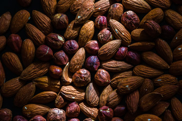 A beam of light falls on many peeled nuts and almond and hazelnut kernels