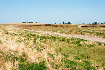 Tokmok, Kyrgyzstan - Aug 08 2018: Ruins of Ak Beshim in Tokmok, Kyrgyzstan. It is part of the World Heritage Site Silk Roads: the Routes Network of Chang'an-Tianshan Corridor.