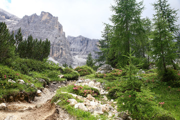 hiking to rifugio comici - peak twelve, la lista, croda dei toni, alps, dolomites, Italy