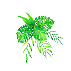 Fototapeta na wymiar Tropical green palm and monstera leaf bouquet isolated on white background. Hand drawn watercolor illustration.
