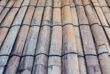 bamboo on top view background