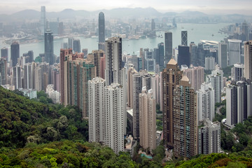 Fototapeta premium Hong Kong skyline