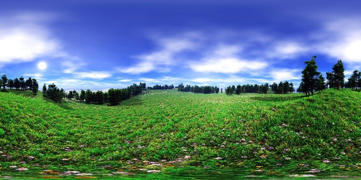HDRI, environment map , Round panorama, spherical panorama, equidistant projection, panorama 360, Flower meadow, beautiful meadow