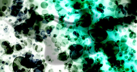 Fototapeta na wymiar Background green, black and white germs.