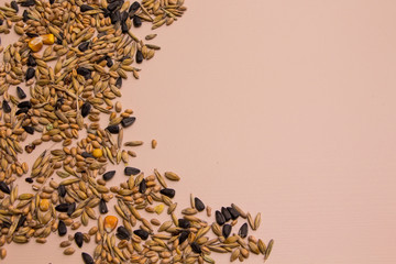 Oats, wheat, corn, sunflower seeds on pink background.