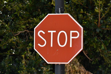 A red stop sign in front of a tree.