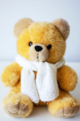 brown toy soft bear on white background childhood concept