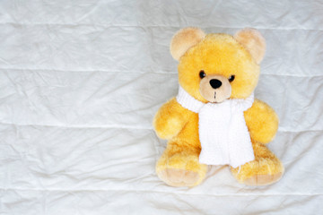 brown toy soft bear on white background childhood concept