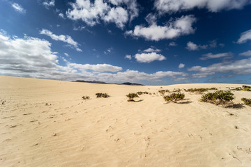 Desert of Fuerteventura on Canary Islands in Spain