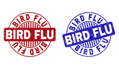 Grunge BIRD FLU round stamp seals isolated on a white background. Round seals with grunge texture in red and blue colors. Vector rubber watermark of BIRD FLU caption inside circle form with stripes.