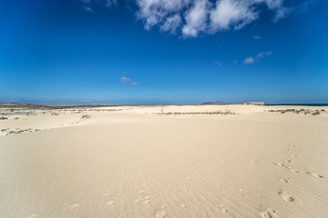 Fototapeta na wymiar Desert of Fuerteventura at the Canary Islands of Spain
